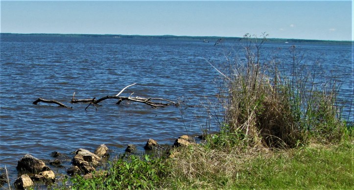 fallen limb in reservoir outlook march 31