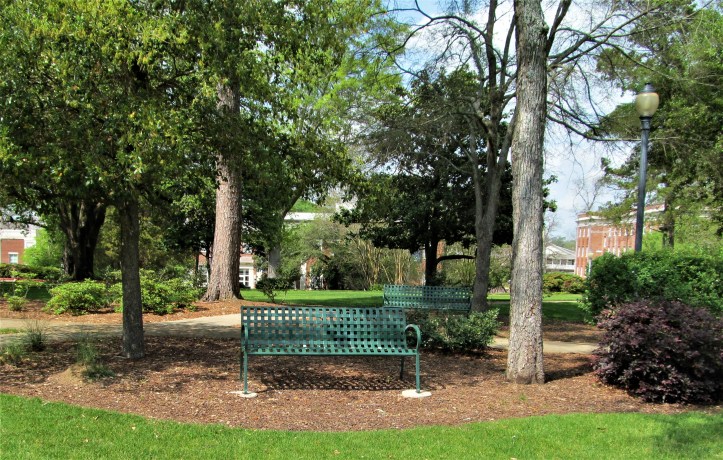 ms college study area march