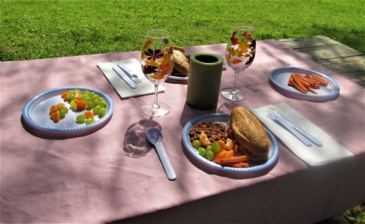 picnic lunch petrified forest april 14