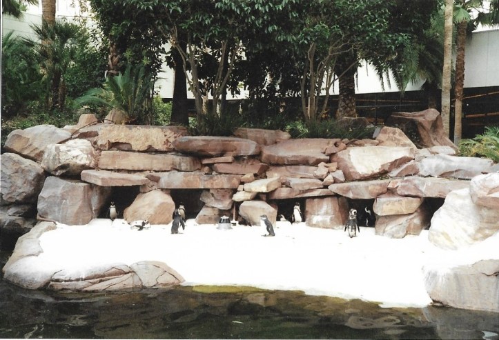 penguins in las vegas