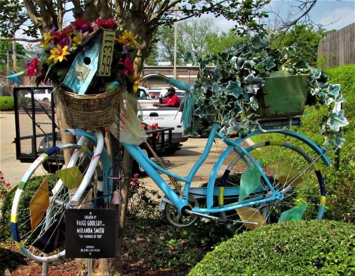 lawn guy blue bicycle clinton